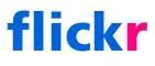 1178525167flickr