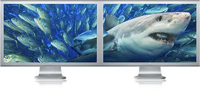 1178564135shark