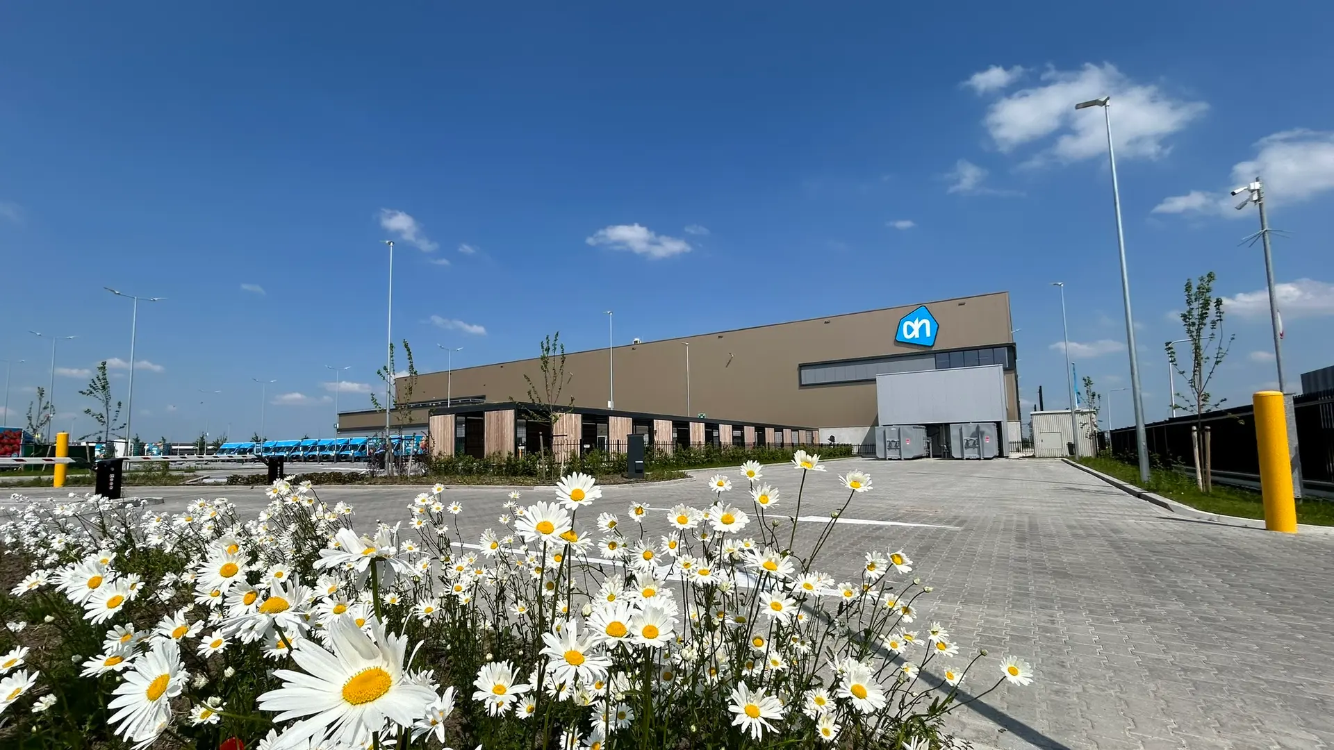 alberheijnecommercehsczwolle