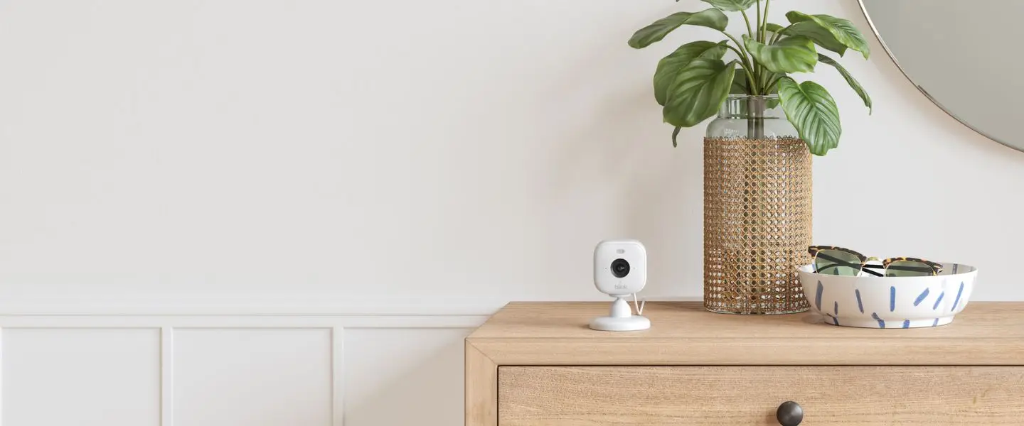 blink mini 2