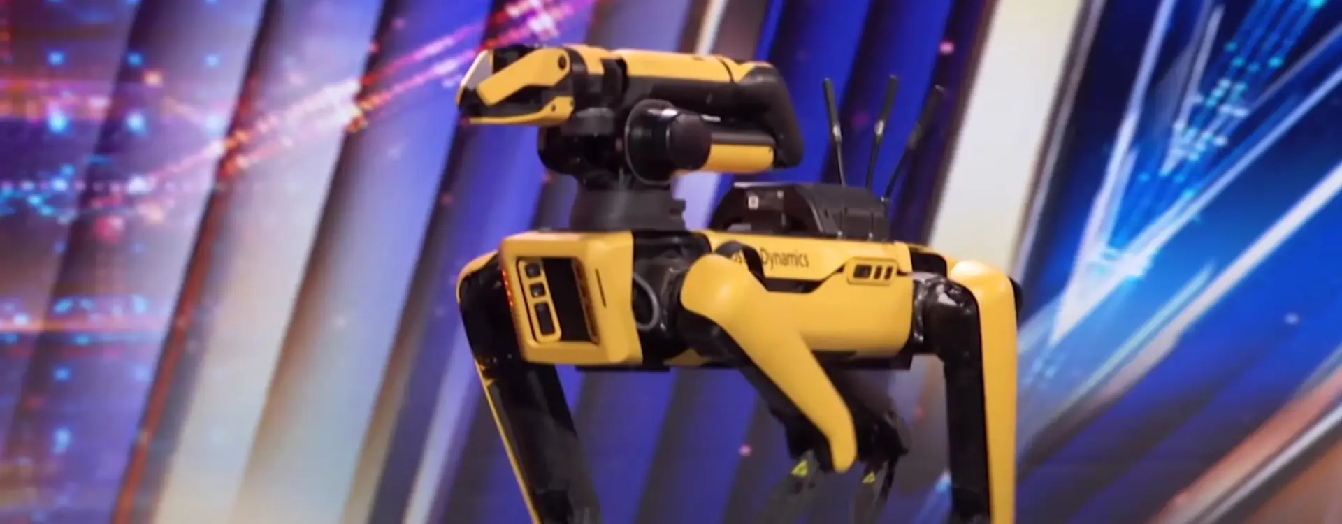 boston dynamics