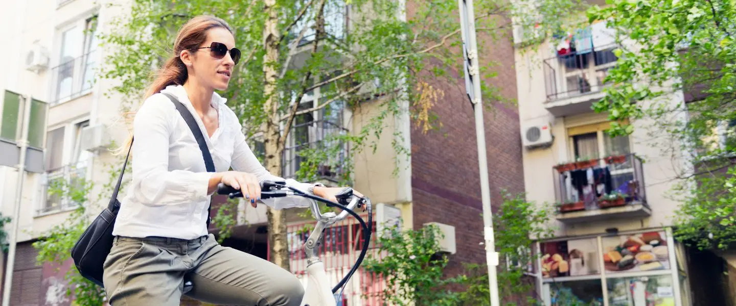ebike