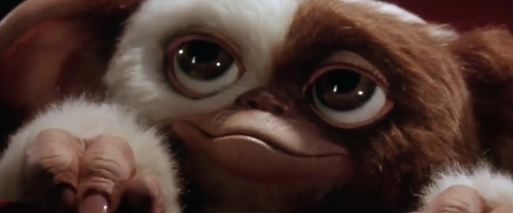 gizmo