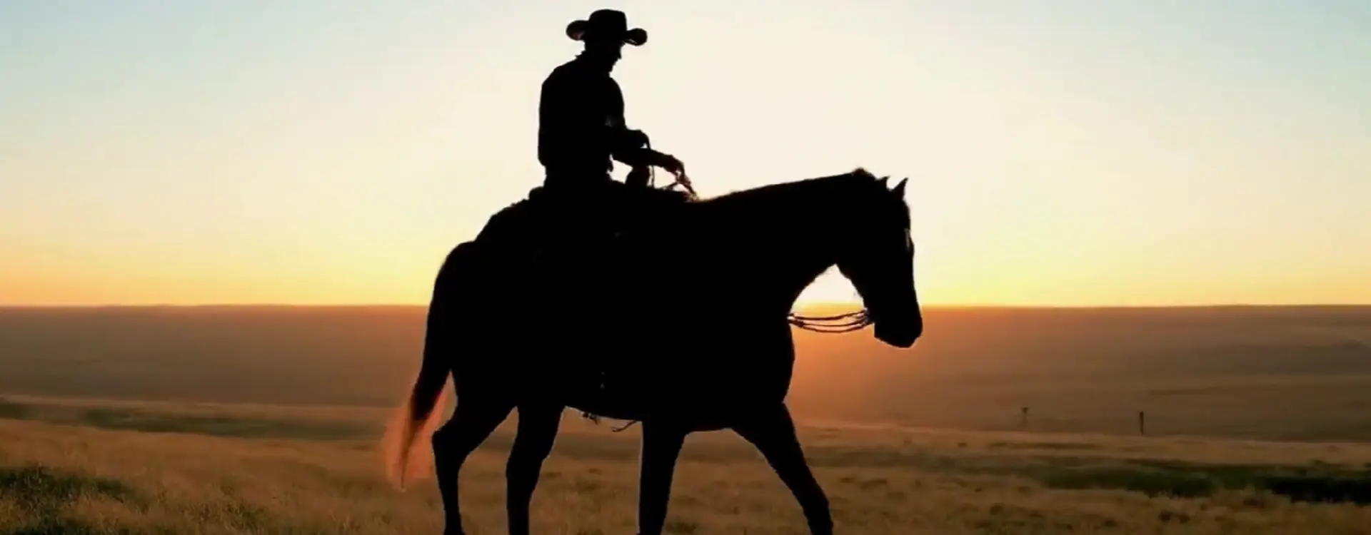 google veo cowboy