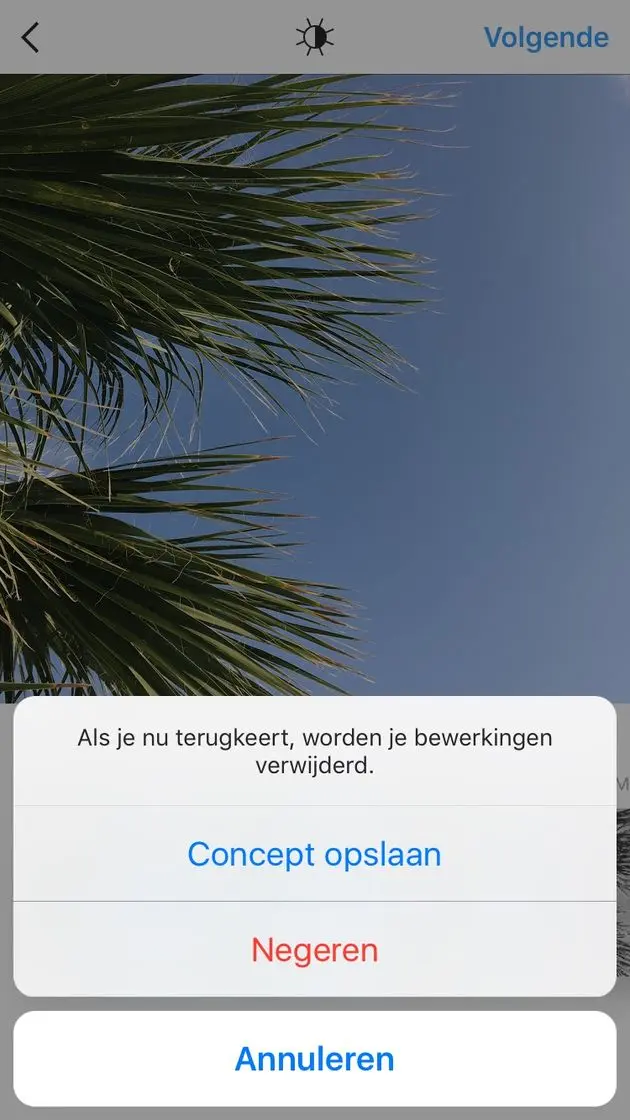 instagram concepten opslaan
