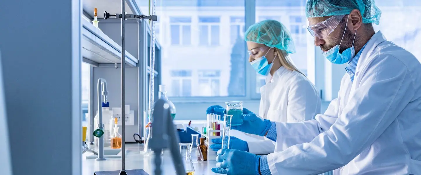 lab