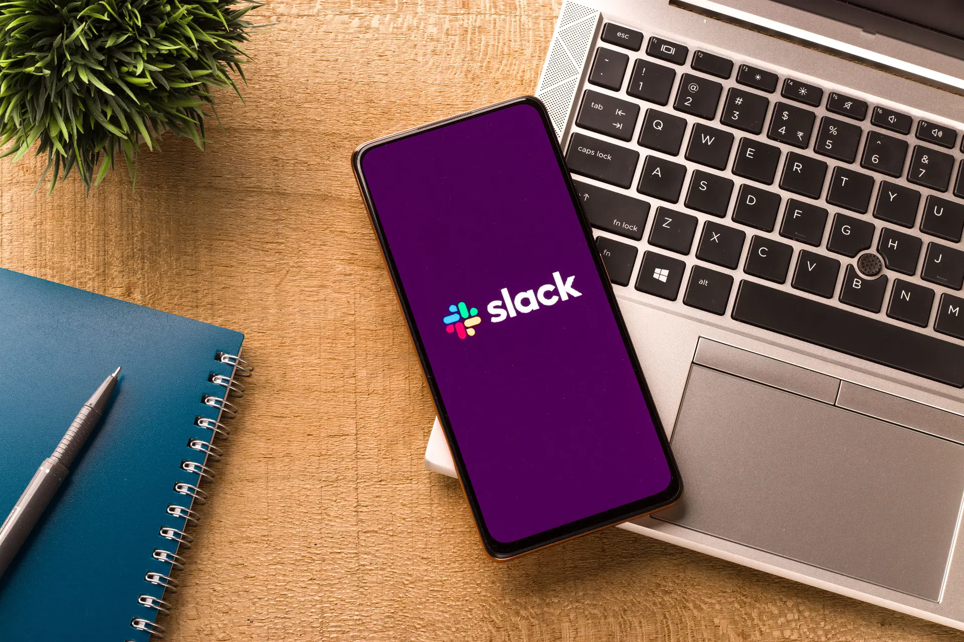 slack