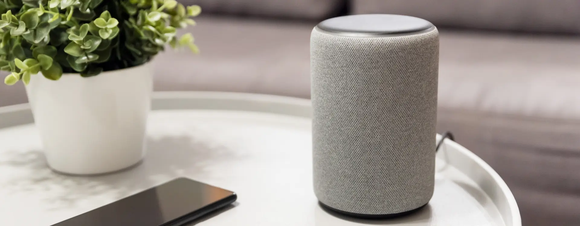 smart speaker