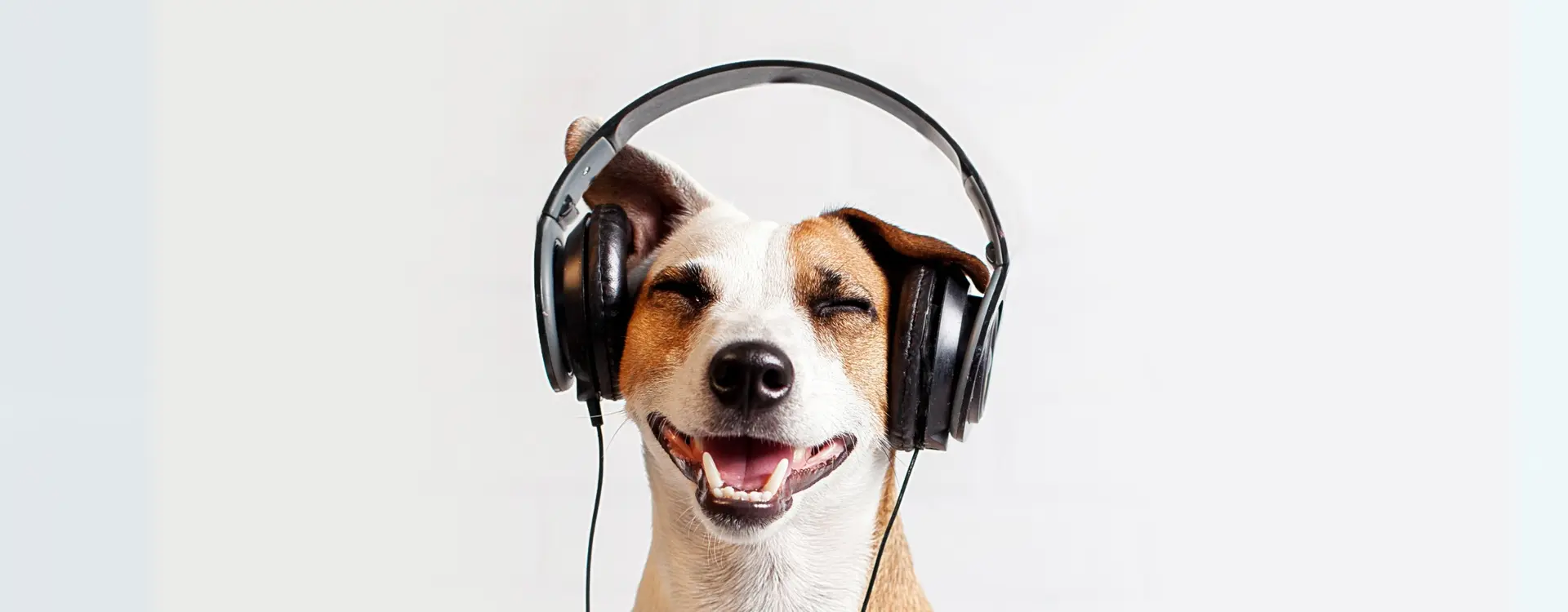 spotify aanraders