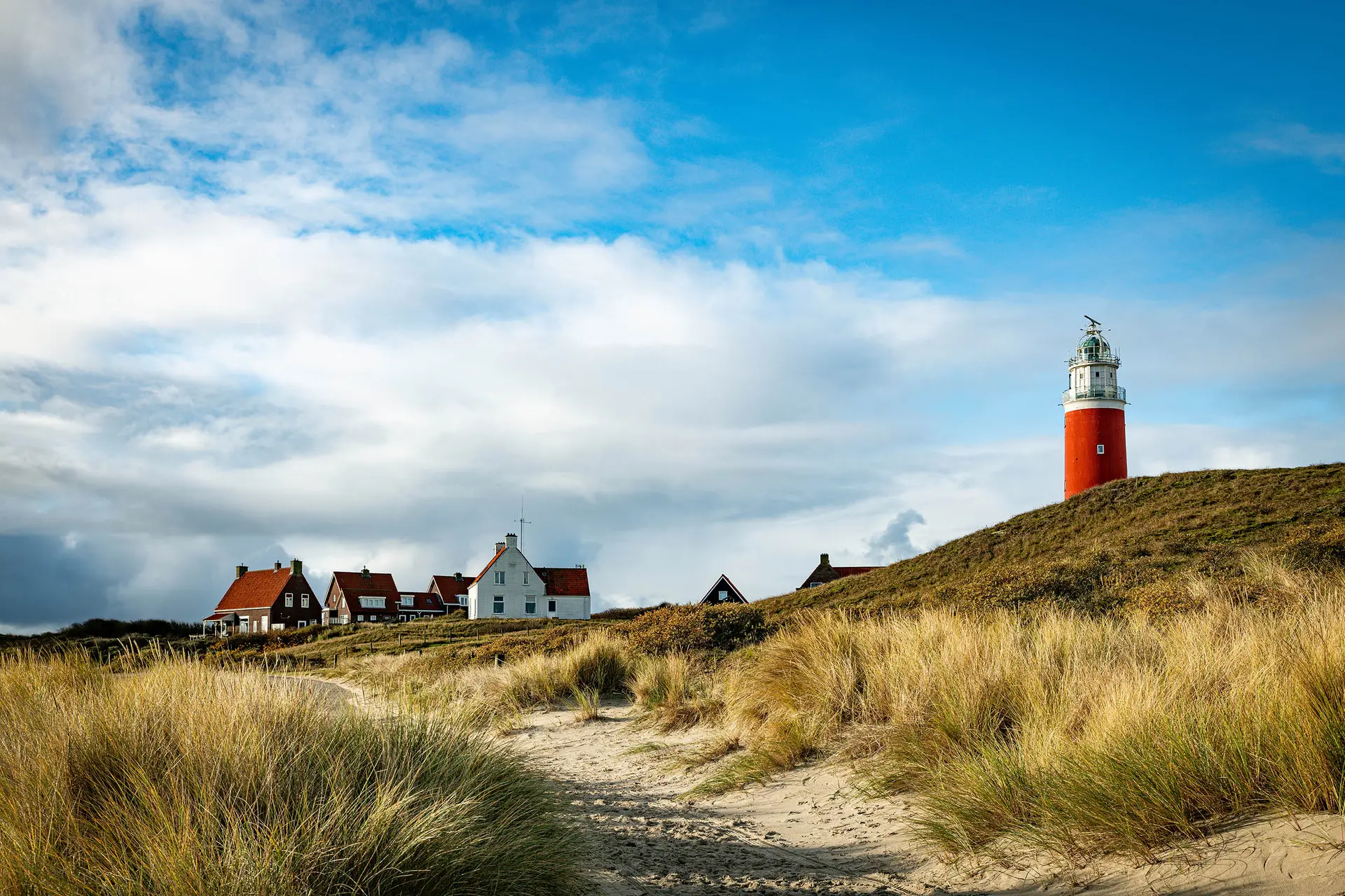 texel sinterklaas