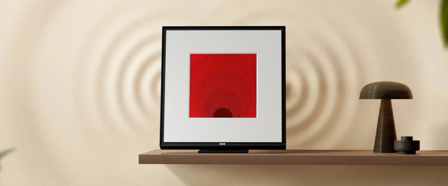 the frame