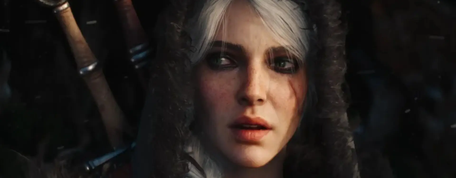 the witcher 4
