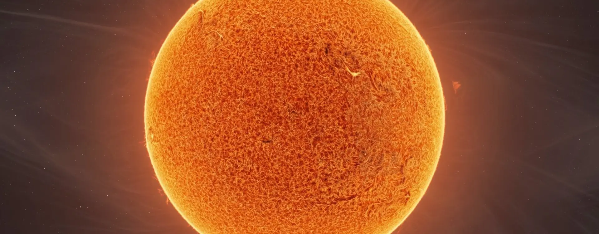 zon