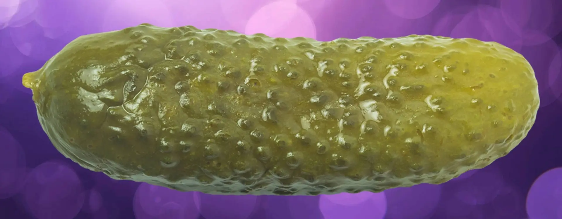 Augurk