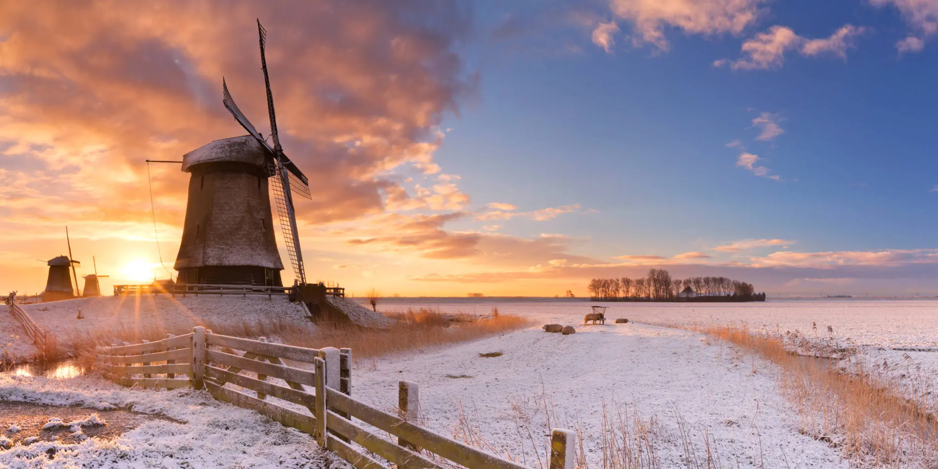 sneeuw nederland