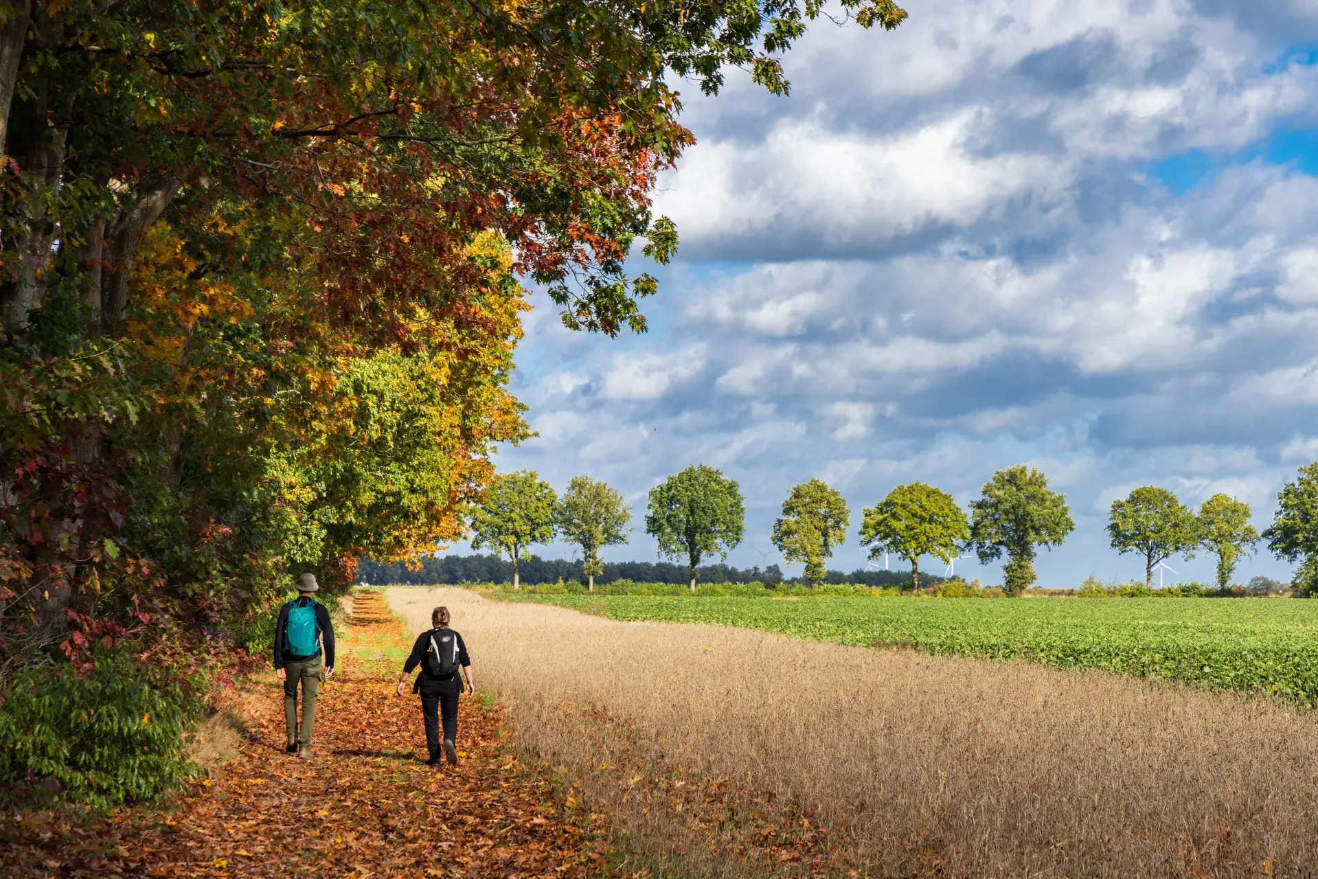 wandelen in nederland