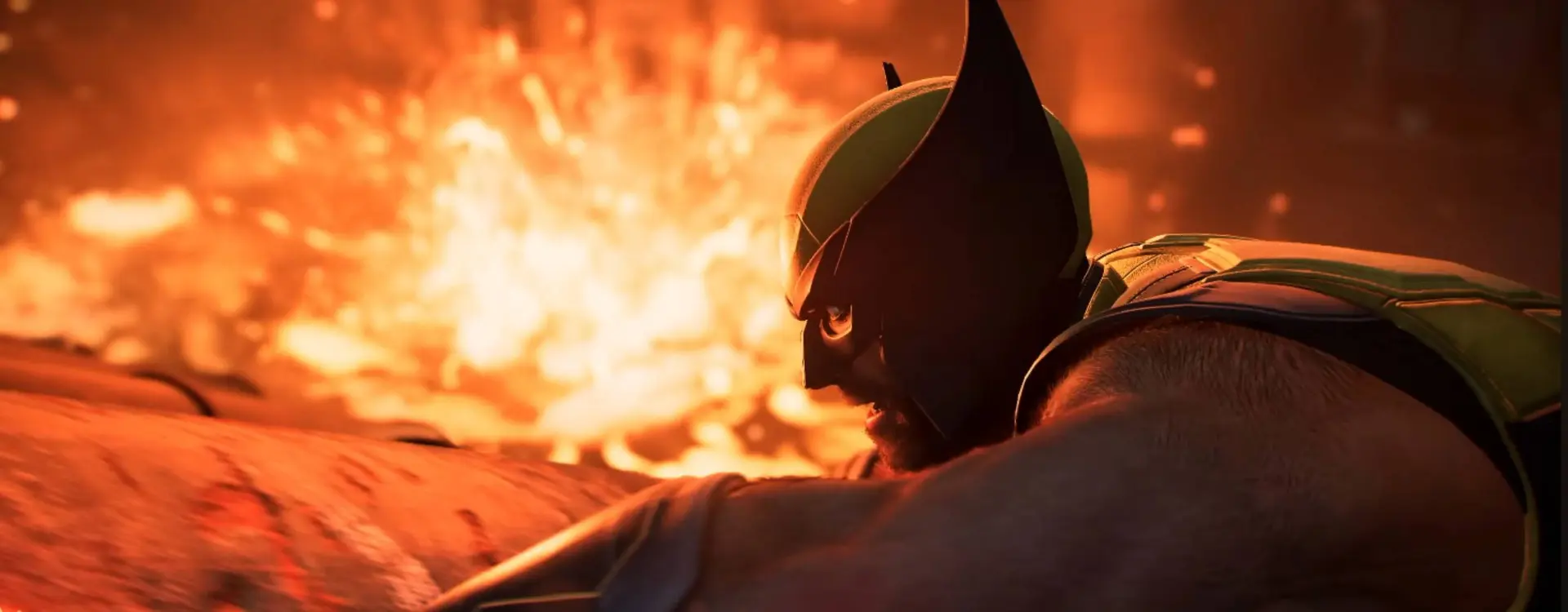Wolverine