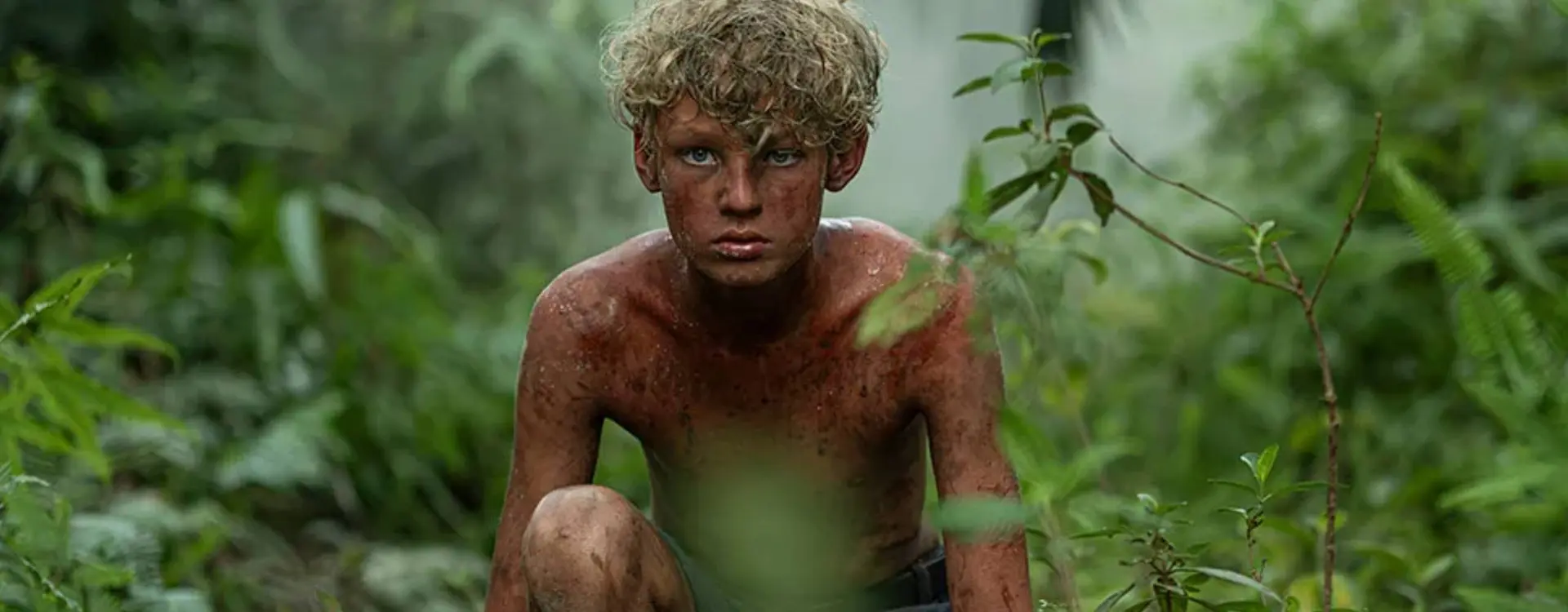 Lord of the flies