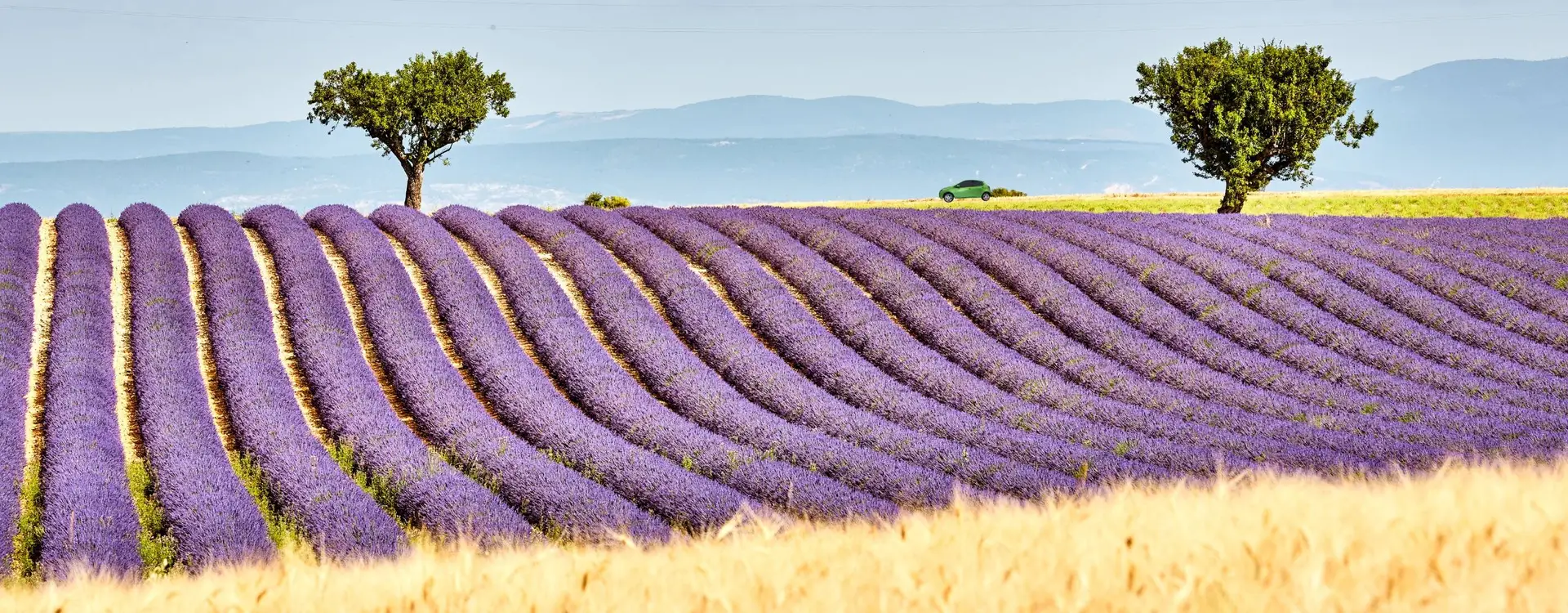 Provence