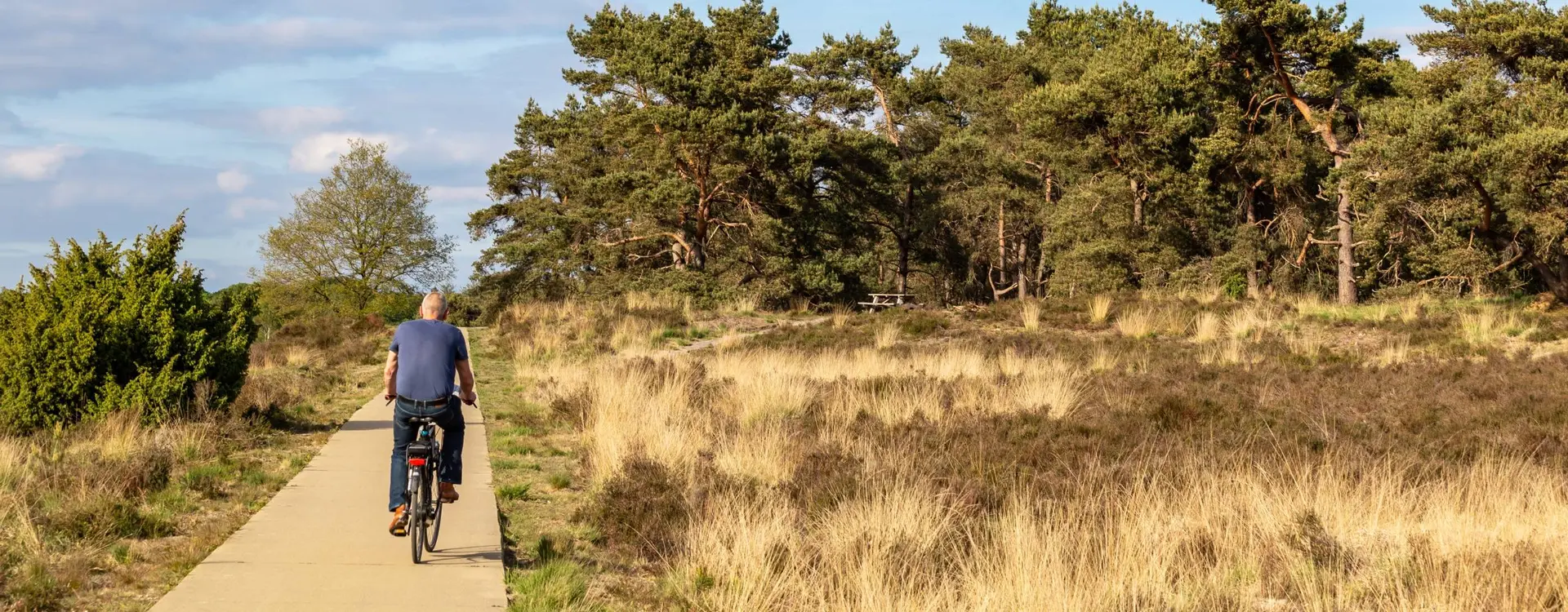 Veluwe