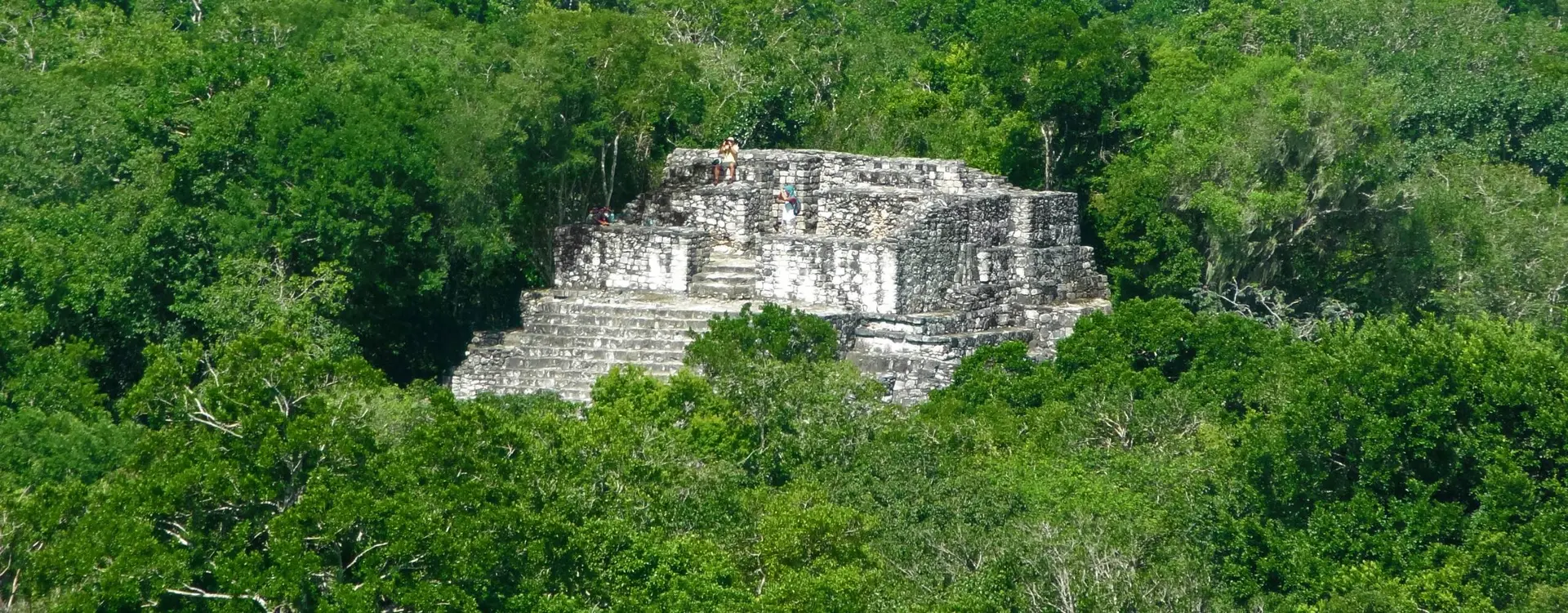 Maya