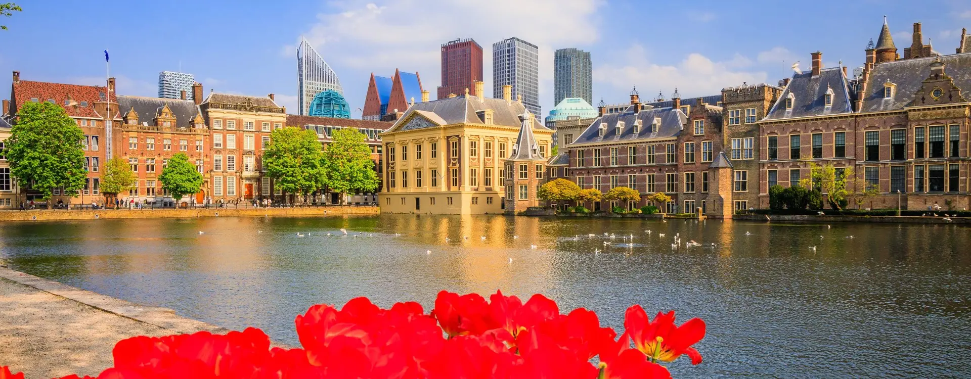 Den haag