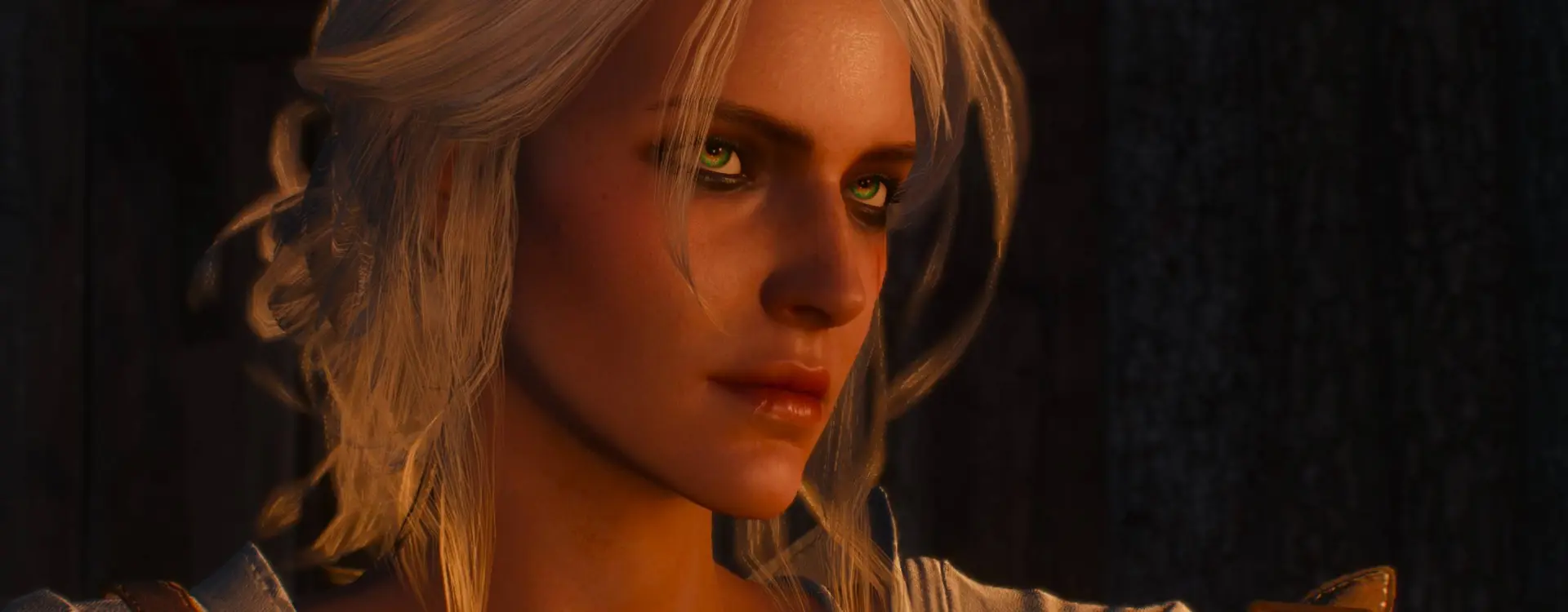 The Witcher
