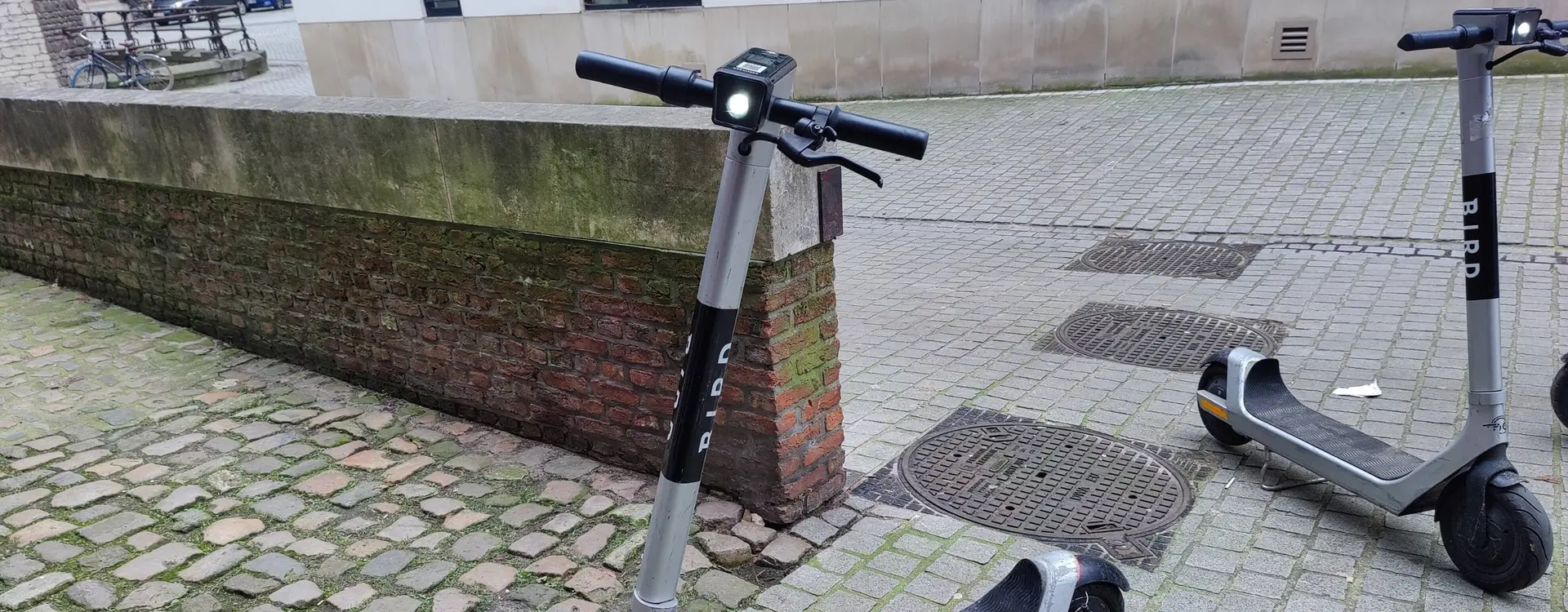 Elektrische step