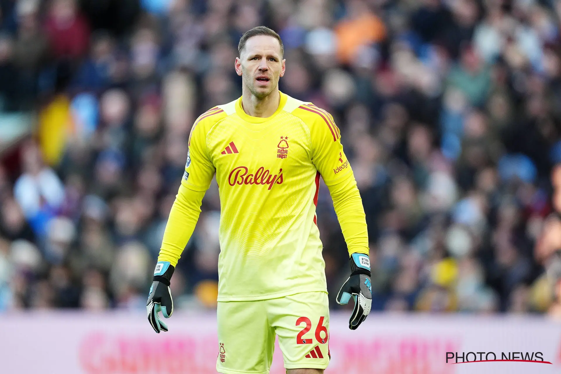 matz sels