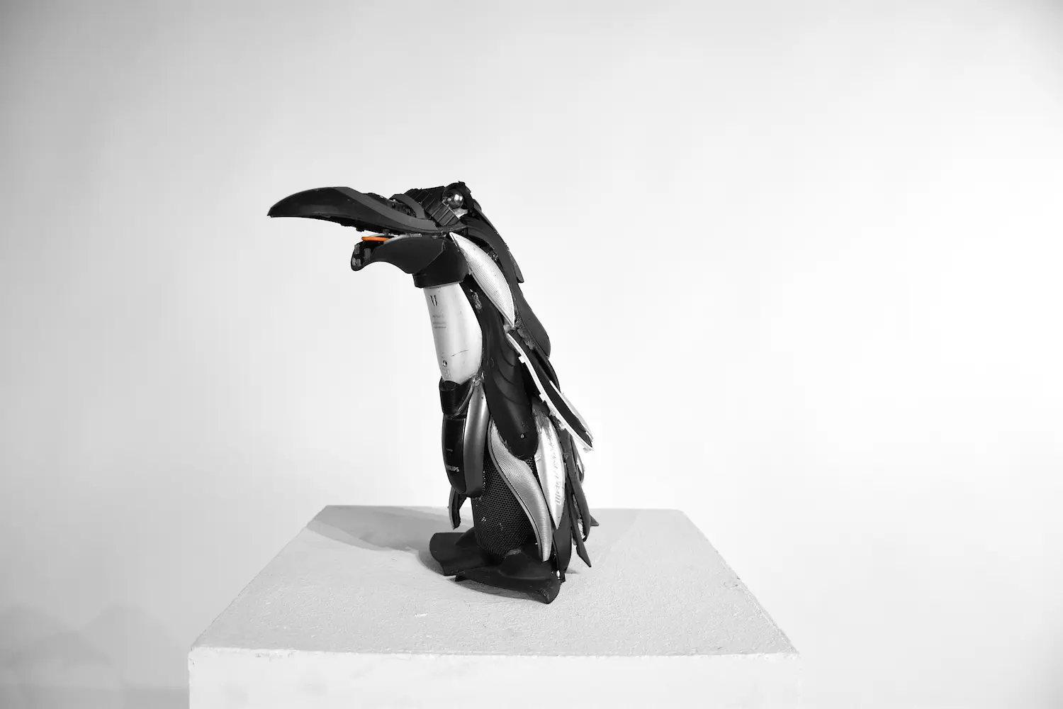 dsc0084 copyjpg