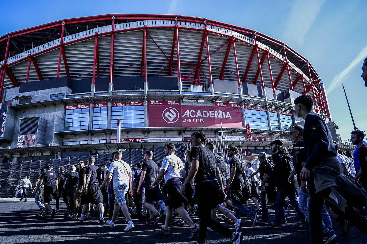 benfica om les compos 21h00 sur m6 et canal foot iconsport 208435 0003 374386
