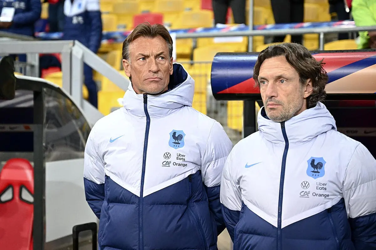 edf fini l enfer du foot feminin herve renard assume renard 7 373780