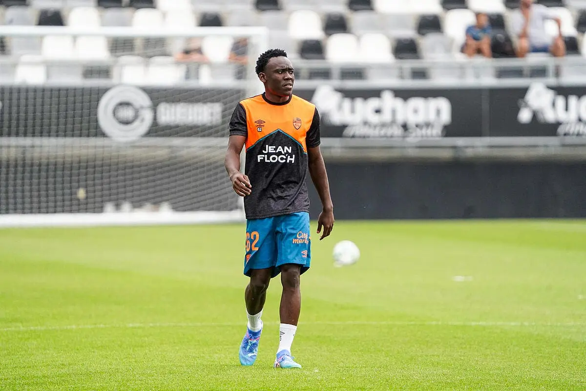 mercato nantes sur la piste d un nouveau lion ebong 383989