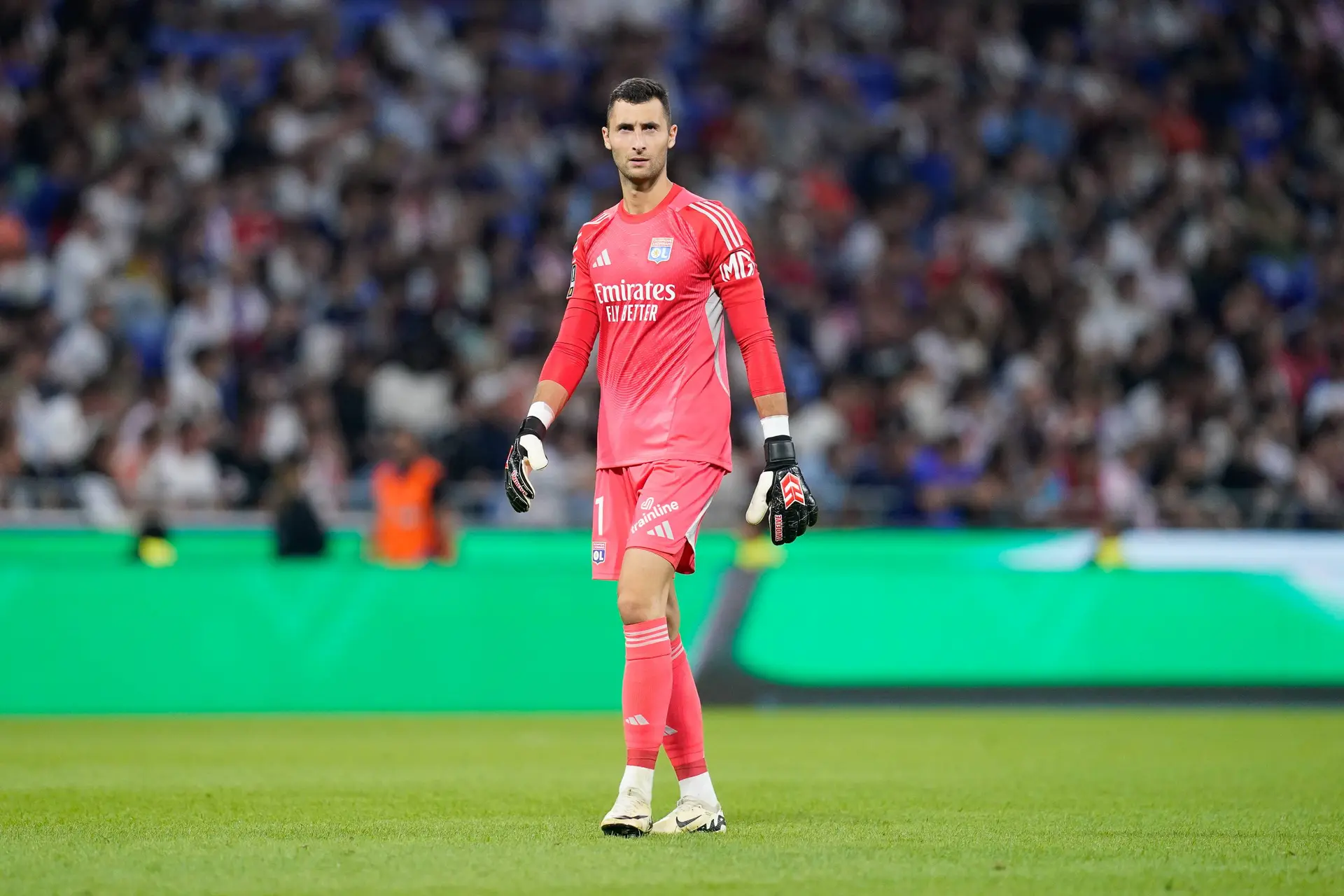 OL : Greif numéro 1, Lyon a tranché