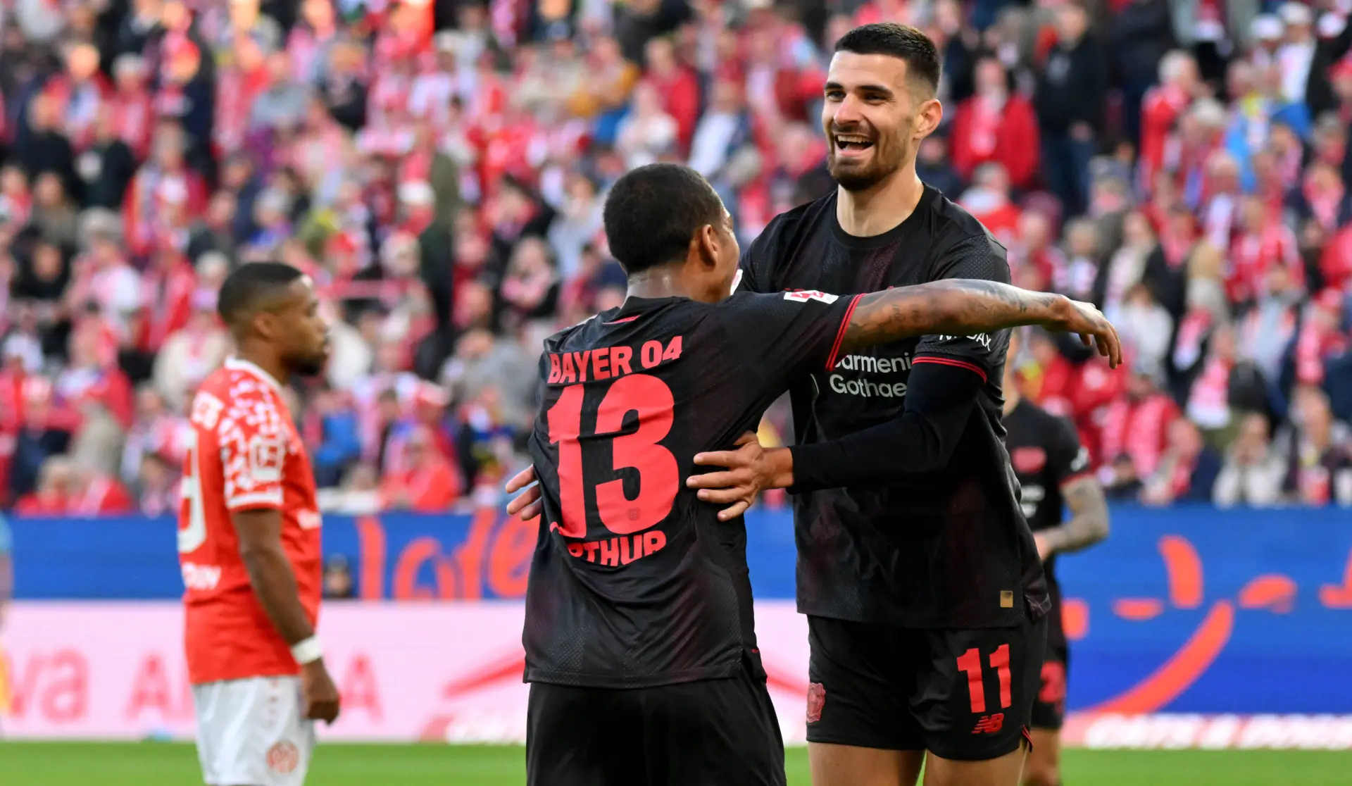 Terrier Bayer