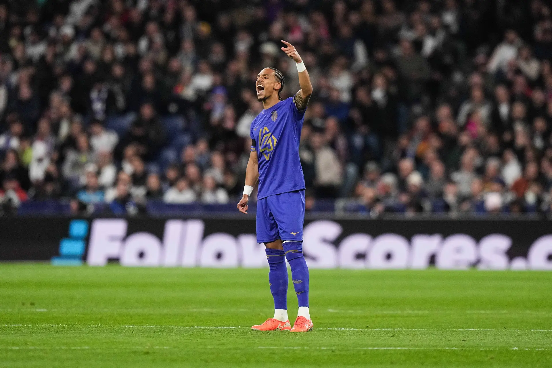 Thilo Kehrer