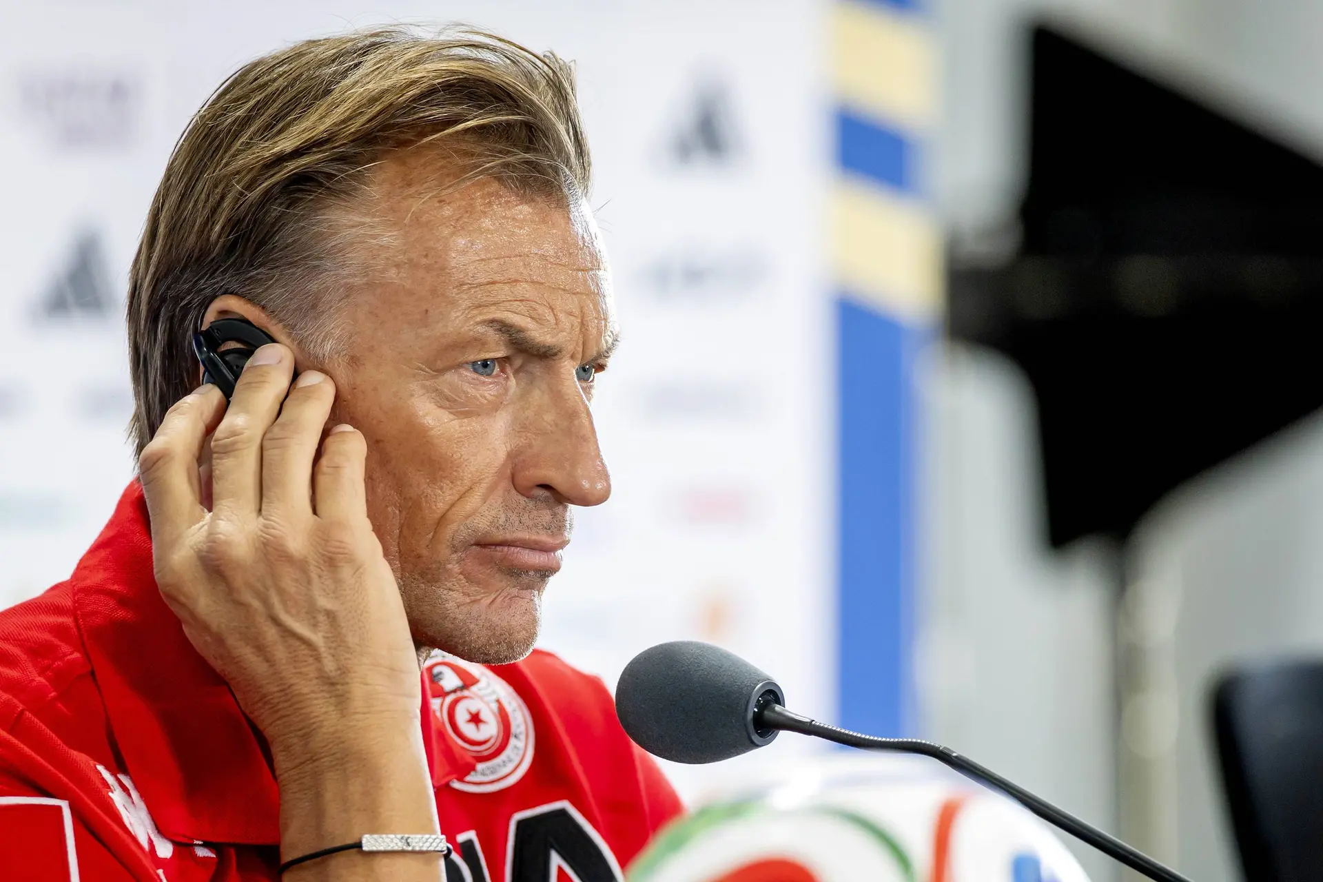 ICONSPORT_369000_0003 Renard