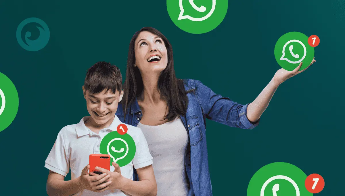 whatsapp about ftr