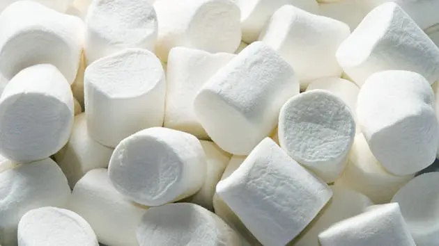 1016 marshmallow 630x354