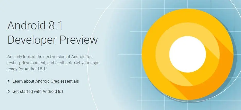 android 81 developer preveiw
