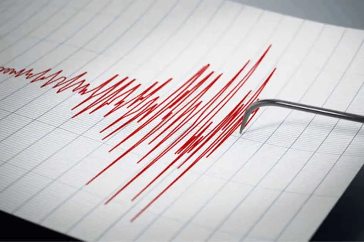 auckland fibre network earthquake detection