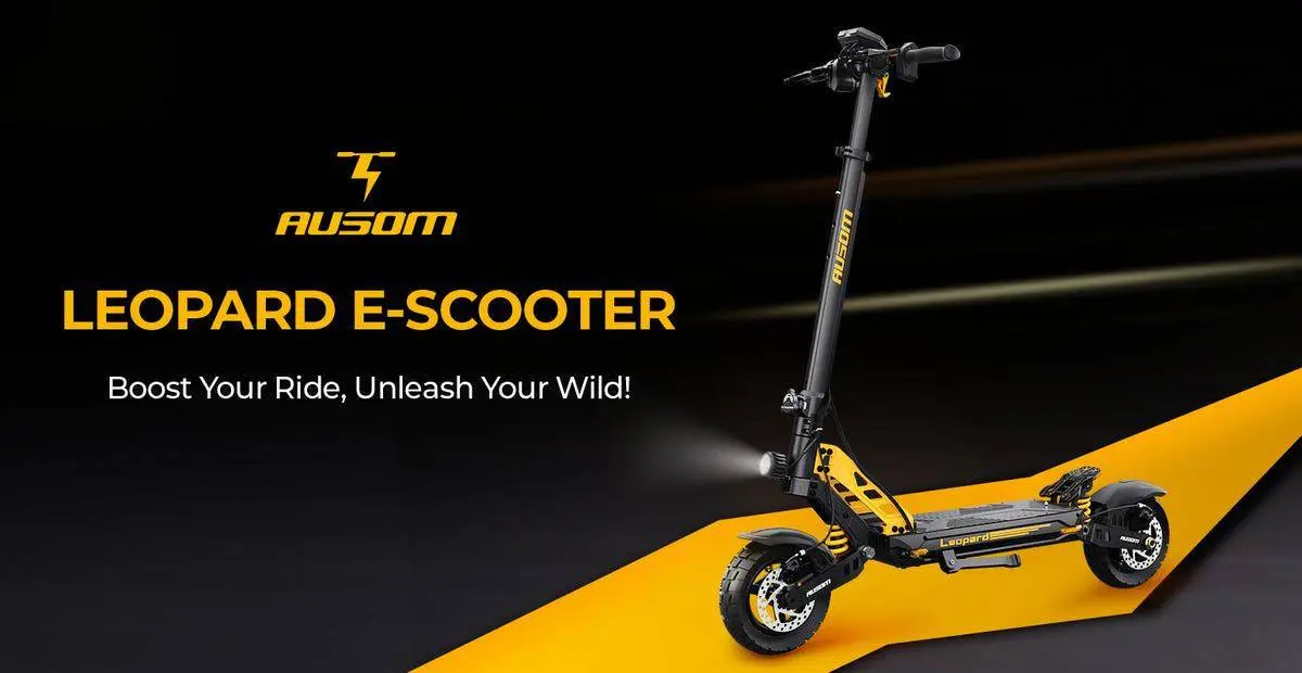 ausom leopard