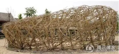 birdsnest3