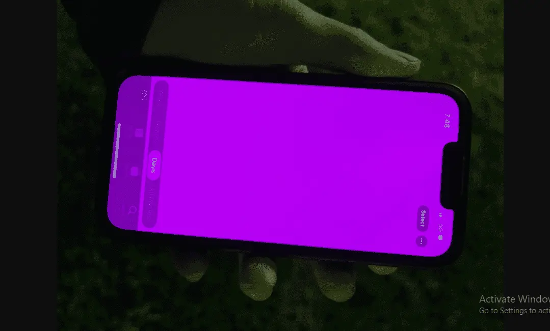capture 8