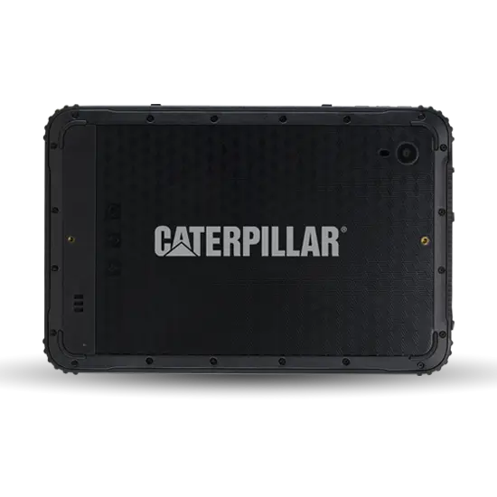 cat t20