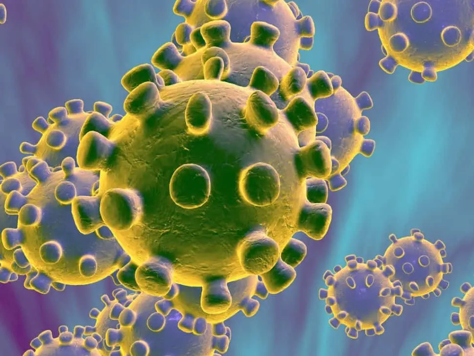 coronavirus