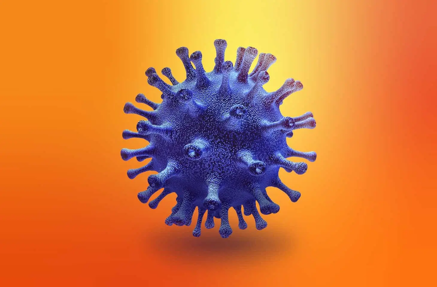 cronavirus