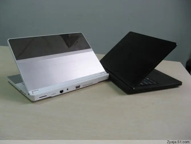 dell adamo clones
