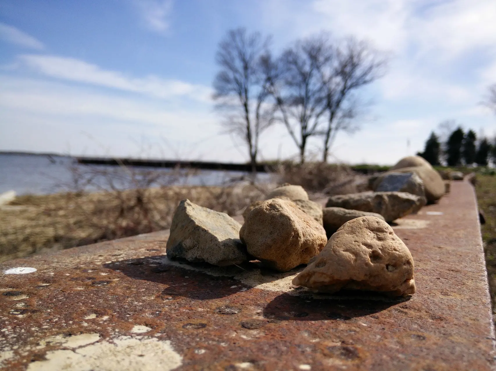 dof one