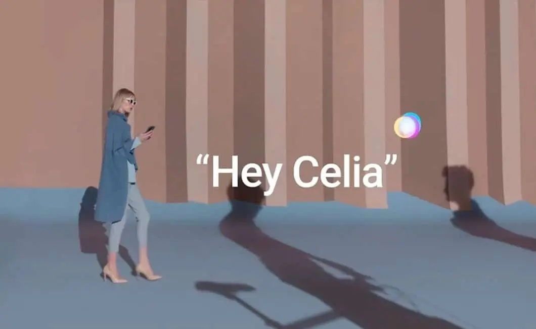 hey celia